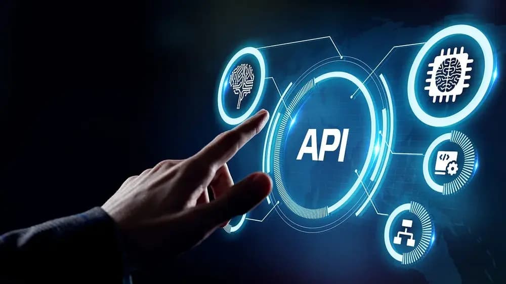 API developer